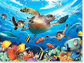 Underwater scene sea turt fish dolphin