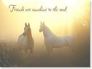 Pair of white horses in meadow