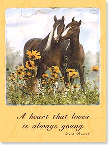 Pair of brown and white horses nuzzle
