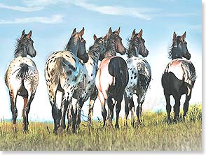 Horses looking off into the distance