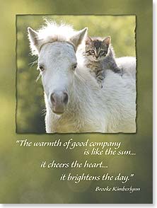 Palamino foal, grey kitten on back