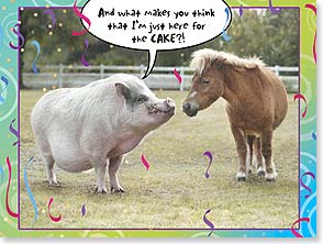Pig and pony looking at each other