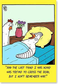 Chicken bandaged in bed