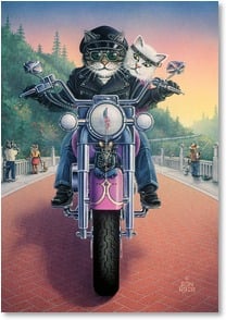 Cats on motorcycle