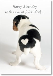 Back of dog with white heart shown on rear