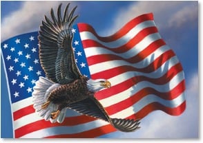 Eagle w American flag in bkgrnd