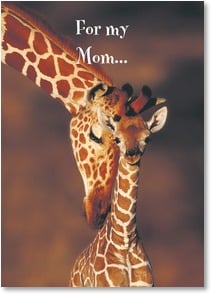 Head and shoulders above other Moms! - 1_2002559-P | Leanin' Tree