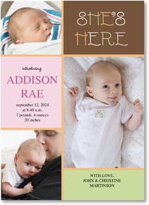 She or He is Here 3 pastel color blocks