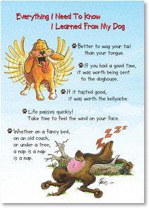 Light Brown dog with frantic tail wag