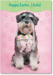 Schnauzer holding basket of eggs