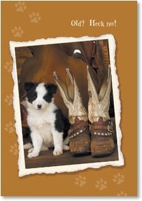 You're still just a young pup at heart - 2001381-P | Leanin' Tree