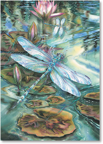 Dragon fly over lilly pads