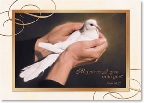 Hands cradling white dove