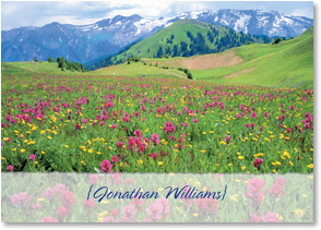 Wildflowers and mountain range