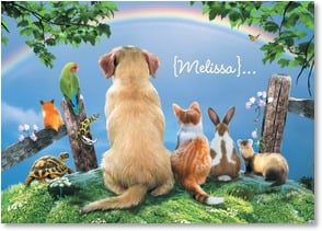 Backside of animals rainbow
