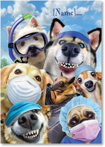 Photo of dogs wearing masks