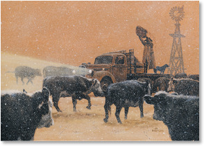 Cowboy feeding cattle in snow