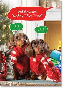Two dachshunds in Christmas sweaters
