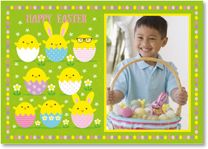 Cute chicks in Easter egg shells