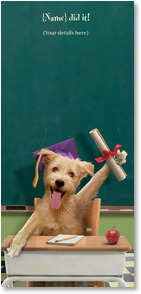 Funny dog at desk wearing graduation cap