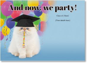 Funny cat with noise maker and graduation cap