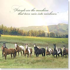 Horses lined up in field rainbow