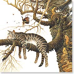 Tabby cat napping in tree