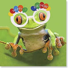 FROG WEARING HAPPY BIRTHDAY GLASSES