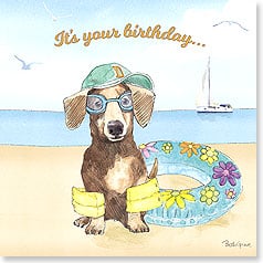 DOG WITH GLASSES AND CAP SITTING ON BEACH WEARING FLOATIES