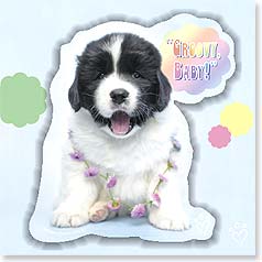 Black and White dog pup saying Groovy Baby!