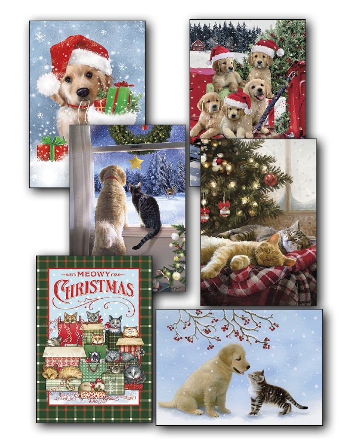 Kittens & Puppies Christmas Card Value Assortment