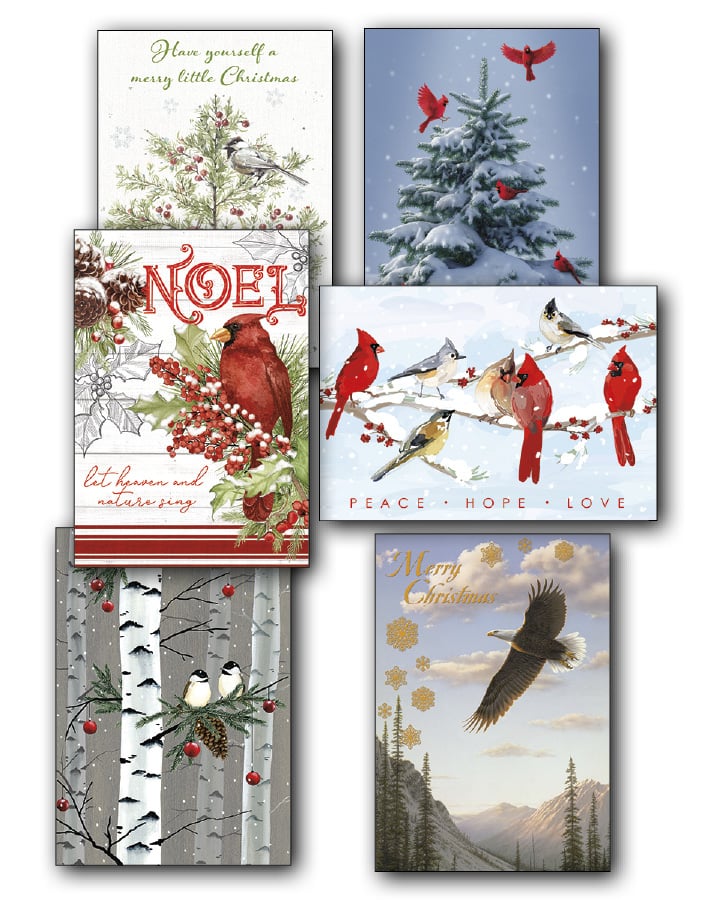 Holiday Birds Christmas Card Value Assortment