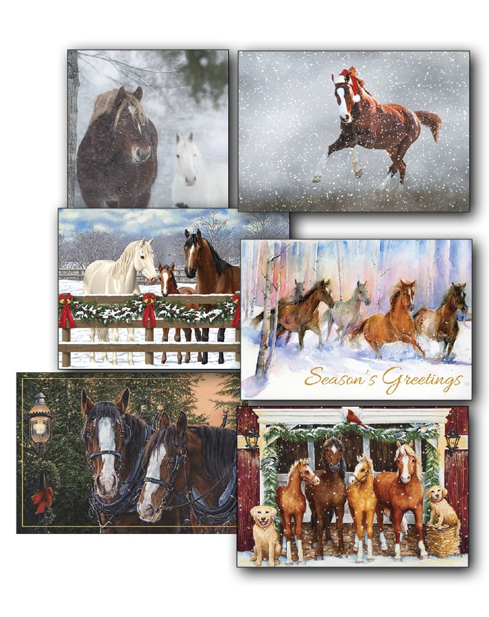 Holiday Horse Christmas Card Value Assortment