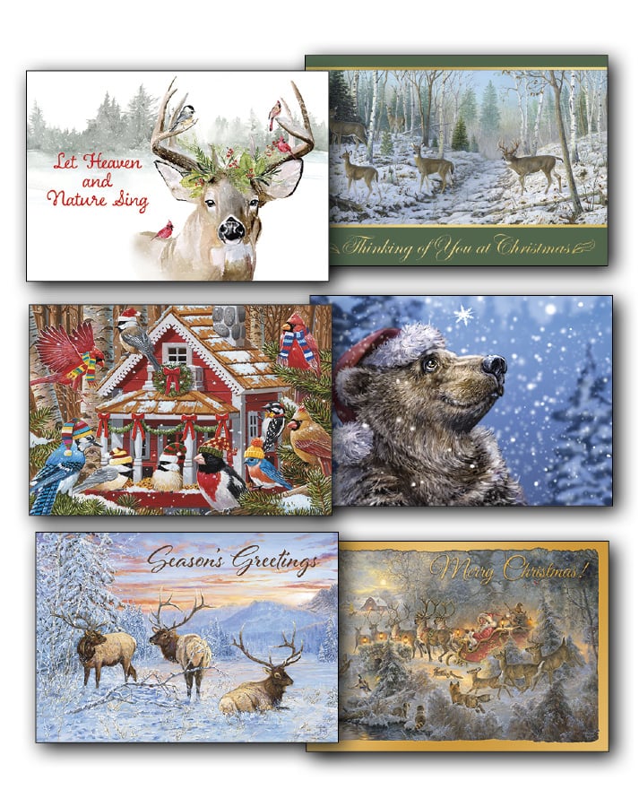 Wintery Wildlife Christmas Card Value Assortment