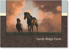 2 black horses running with storm clouds in background