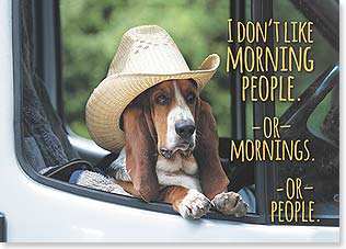dog with cowboy hat sitting in truck