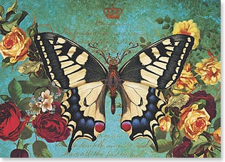 Cream & blue butterfly, roses
