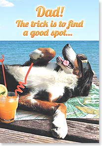 Dog sunbathing on dock with cocktail