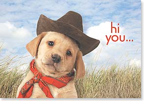 Cute puppy wearing cowboy hat