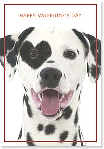 Dalmatian dog with heart spot on eye