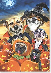 Dogs and black cat in Halloween costumes with jack-o-lanterns