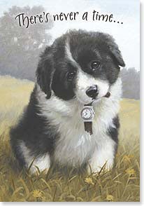Black and white puppy with watch