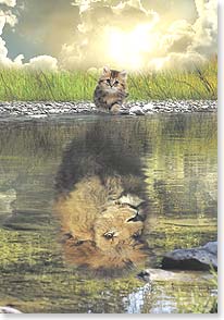 Kitten with lion reflection