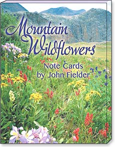 Mountain Wildflowers by John Fielder