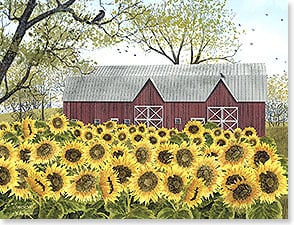 SUNFLOWERS OUTSIDE OF RED BARN