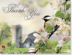 CHICKADEE ON SPRING BLOSSOM BRANCH with barn and silo in background