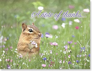 Chipmunk holding flower in field