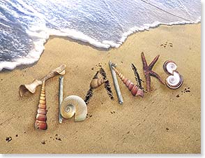 the word 'Thanks' spelled out on a beach in seashells