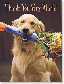 GOLDEN RETRIEVER WITH FLOWERS IN MOUTH