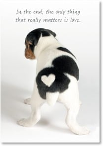 Back of dog with white heart shown on rear